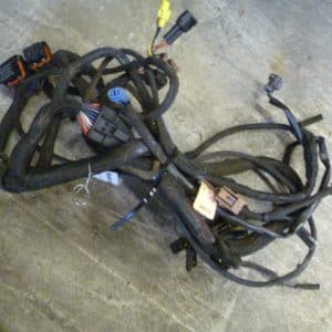 Arctic Cat F6 Kabelstam