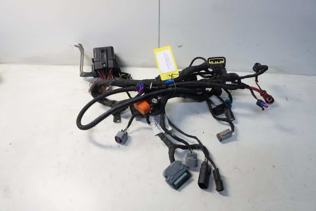 Lynx 49 Ranger Pro 900 ace -19  Kabelstam